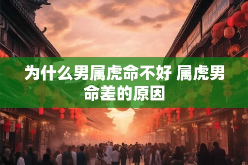 为什么男属虎命不好 属虎男命差的原因