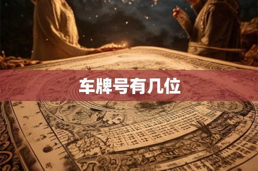 车牌号有几位