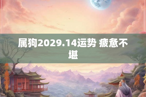 属狗2029.14运势 疲惫不堪