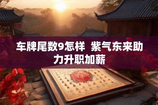 车牌尾数9怎样  紫气东来助力升职加薪