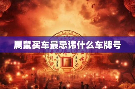 属鼠买车最忌讳什么车牌号