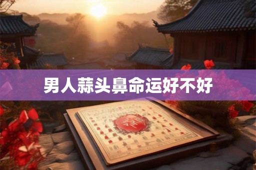 男人蒜头鼻命运好不好 男人蒜头鼻命运好不好