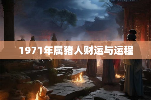 1971年属猪人财运与运程 1971年属猪人财运与运程