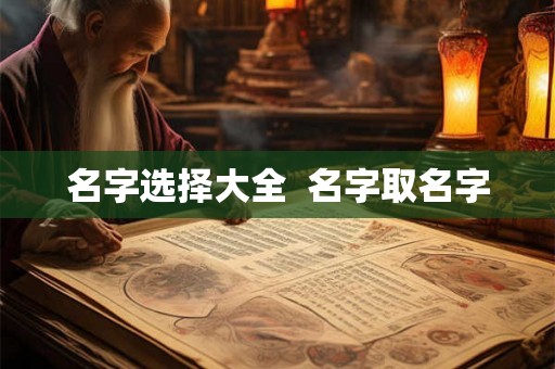 名字选择大全  名字取名字