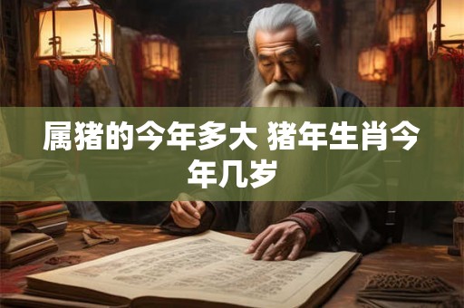 属猪的今年多大 猪年生肖今年几岁