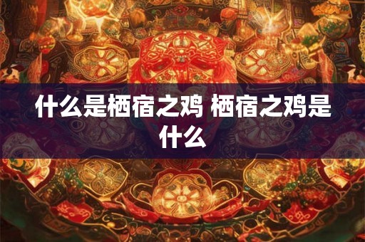 什么是栖宿之鸡 栖宿之鸡是什么