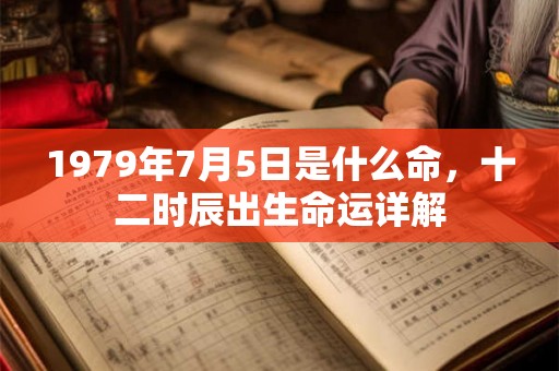 1979年7月5日是什么命，十二时辰出生命运详解
