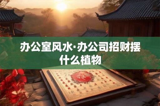 办公室风水·办公司招财摆什么植物