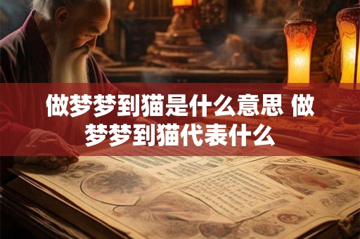 做梦梦到猫是什么意思 做梦梦到猫代表什么