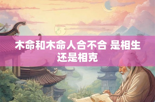 木命和木命人合不合 是相生还是相克