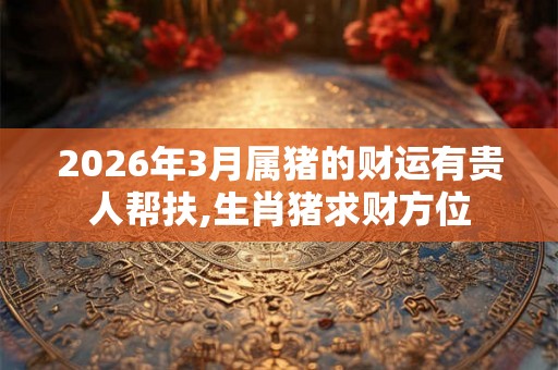 2026年3月属猪的财运有贵人帮扶,生肖猪求财方位