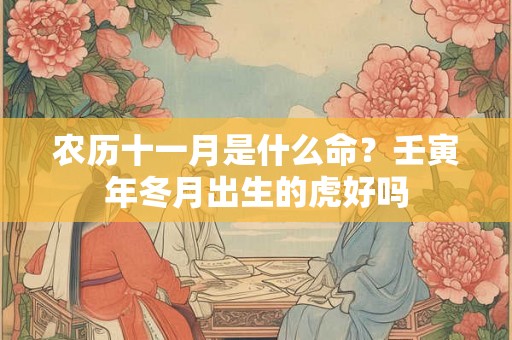 农历十一月是什么命？壬寅年冬月出生的虎好吗