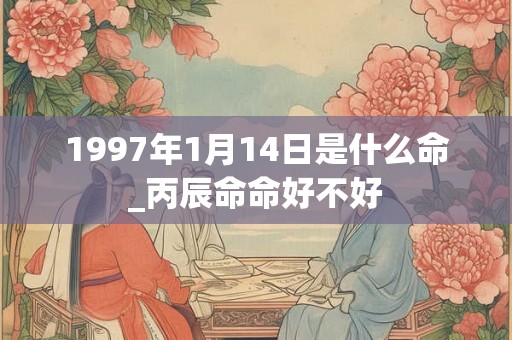 1997年1月14日是什么命_丙辰命命好不好