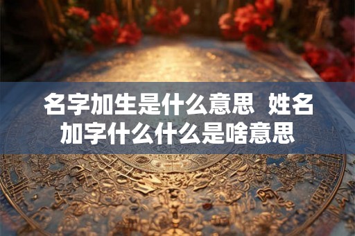 名字加生是什么意思  姓名加字什么什么是啥意思