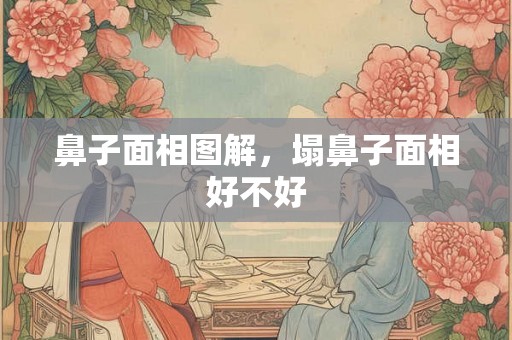 鼻子面相图解，塌鼻子面相好不好