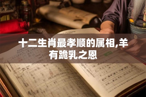 十二生肖最孝顺的属相,羊有跪乳之恩