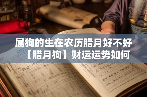 属狗的生在农历腊月好不好【腊月狗】财运运势如何