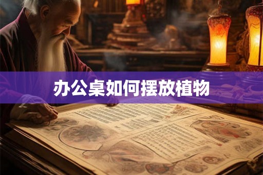 办公桌如何摆放植物