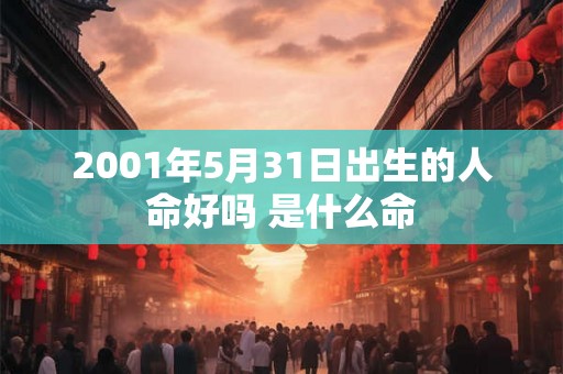 2001年5月31日出生的人命好吗 是什么命