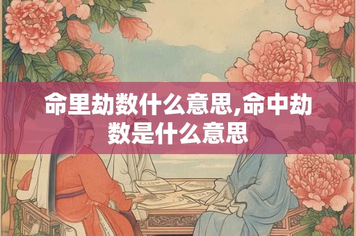 命里劫数什么意思,命中劫数是什么意思