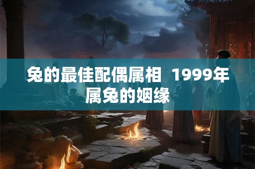兔的最佳配偶属相  1999年属兔的姻缘