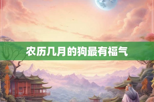 农历几月的狗最有福气 农历几月的狗最有福气