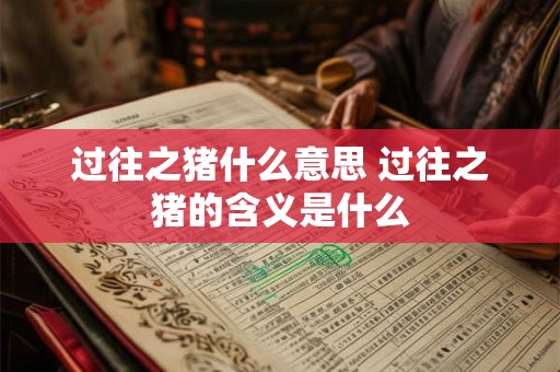 过往之猪什么意思 过往之猪的含义是什么