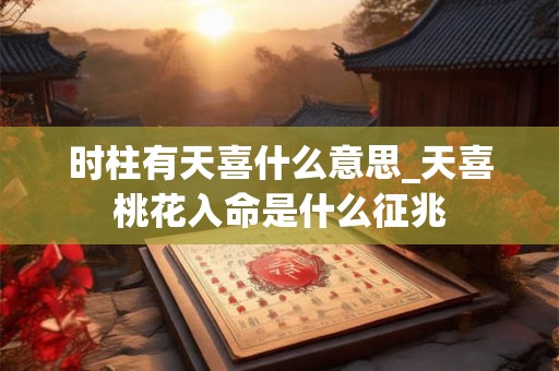 时柱有天喜什么意思_天喜桃花入命是什么征兆