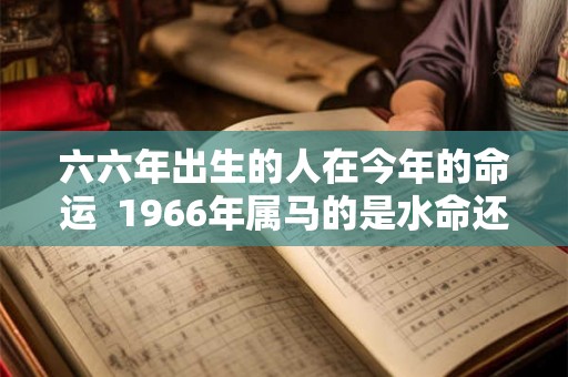 六六年出生的人在今年的命运  1966年属马的是水命还是火命
