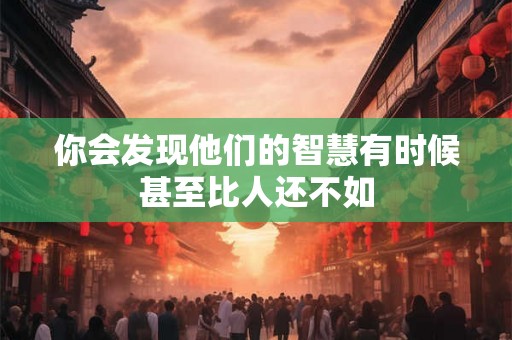 你会发现他们的智慧有时候甚至比人还不如