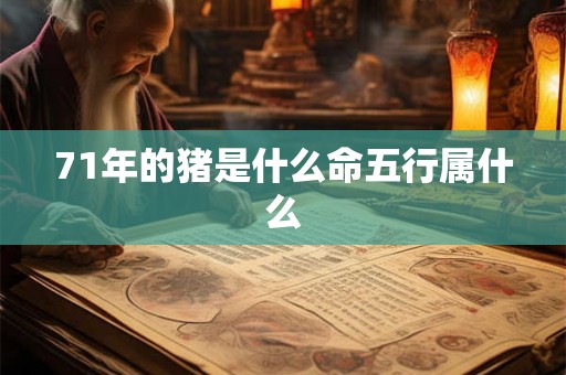 71年的猪是什么命五行属什么 71年的猪是什么命五行属什么