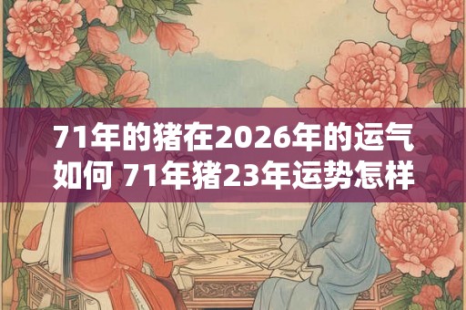 71年的猪在2026年的运气如何 71年猪23年运势怎样