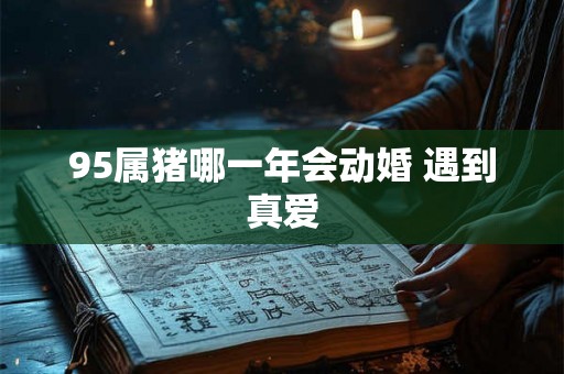 95属猪哪一年会动婚 遇到真爱