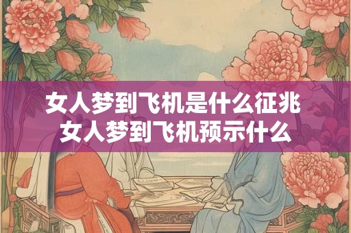 女人梦到飞机是什么征兆 女人梦到飞机预示什么 女人梦到飞机是什么征兆 女人梦到飞机预示什么