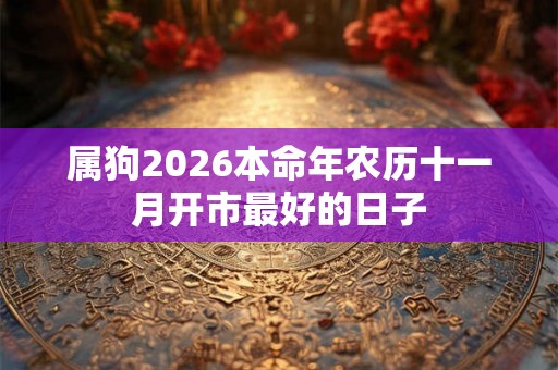 属狗2026本命年农历十一月开市最好的日子