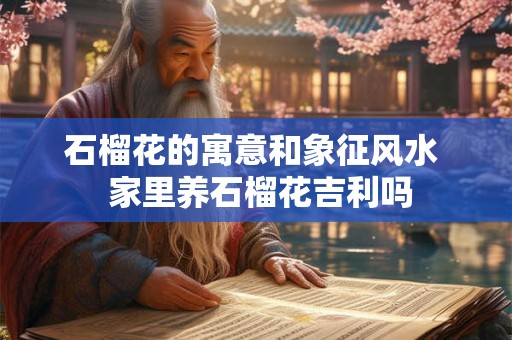 石榴花的寓意和象征风水  家里养石榴花吉利吗