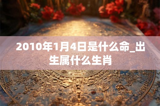 2010年1月4日是什么命_出生属什么生肖