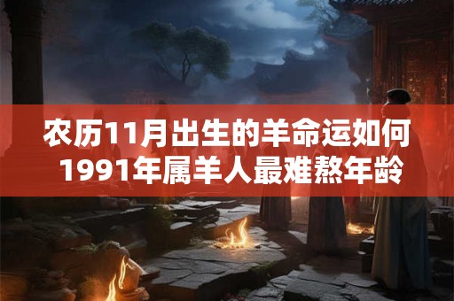 农历11月出生的羊命运如何 1991年属羊人最难熬年龄