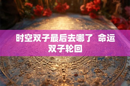 时空双子最后去哪了 命运双子轮回 时空双子最后去哪了 命运双子轮回