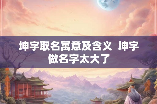 坤字取名寓意及含义  坤字做名字太大了