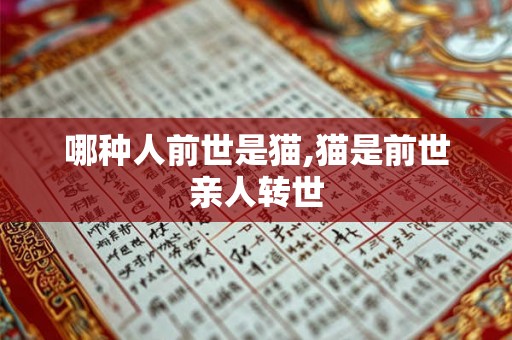 哪种人前世是猫,猫是前世亲人转世