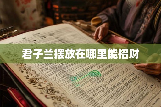 君子兰摆放在哪里能招财