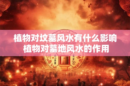 植物对坟墓风水有什么影响 植物对墓地风水的作用