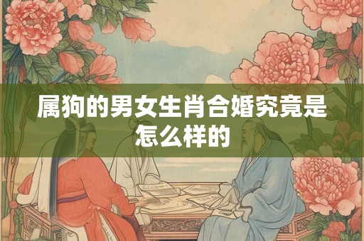 属狗的男女生肖合婚究竟是怎么样的 属狗的男女生肖合婚究竟是怎么样的