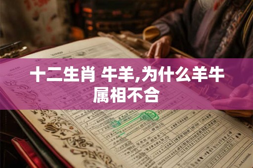 十二生肖 牛羊,为什么羊牛属相不合