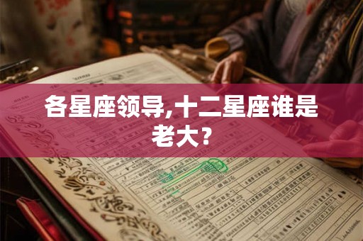 各星座领导,十二星座谁是老大? 各星座领导,十二星座谁是老大?