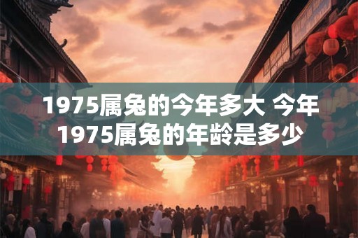 1975属兔的今年多大 今年1975属兔的年龄是多少