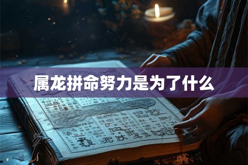 属龙拼命努力是为了什么