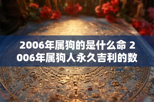 2006年属狗的是什么命 2006年属狗人永久吉利的数字