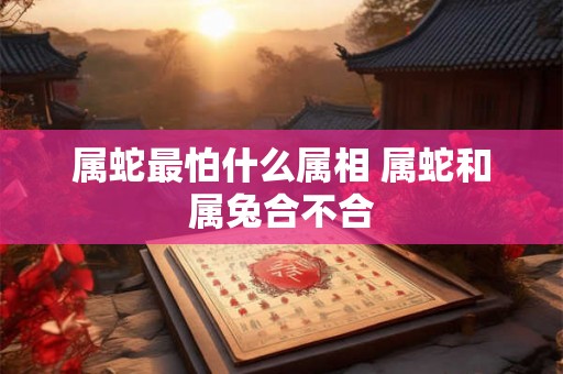 属蛇最怕什么属相 属蛇和属兔合不合